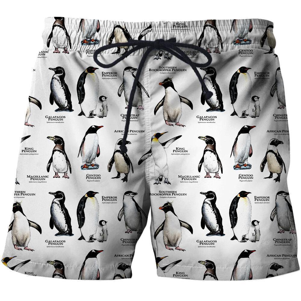 3D All Over Printed Penguins of the World Shirts And Shorts-Apparel-HP Arts-SHORTS-S-Vibe Cosy™