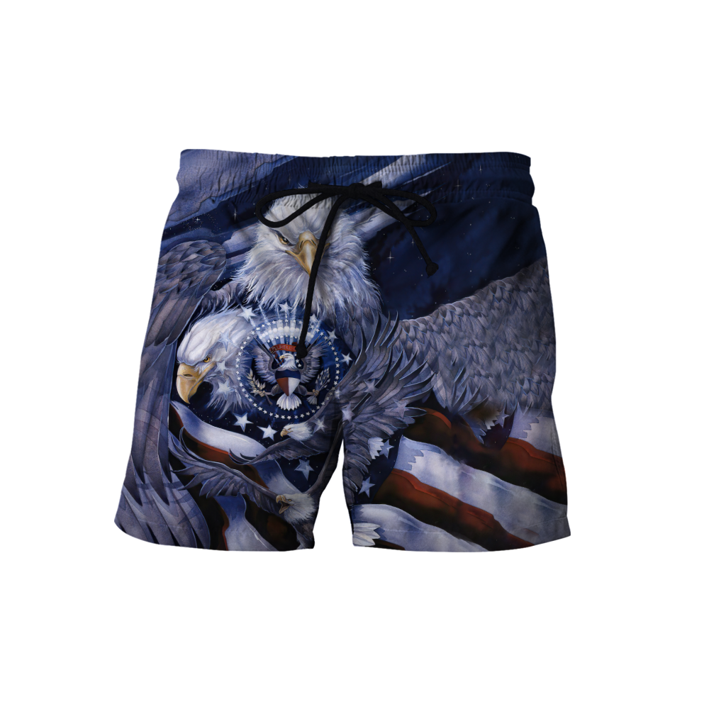 American Spirit Eagle 3D All Over Print Hoodie DL20219