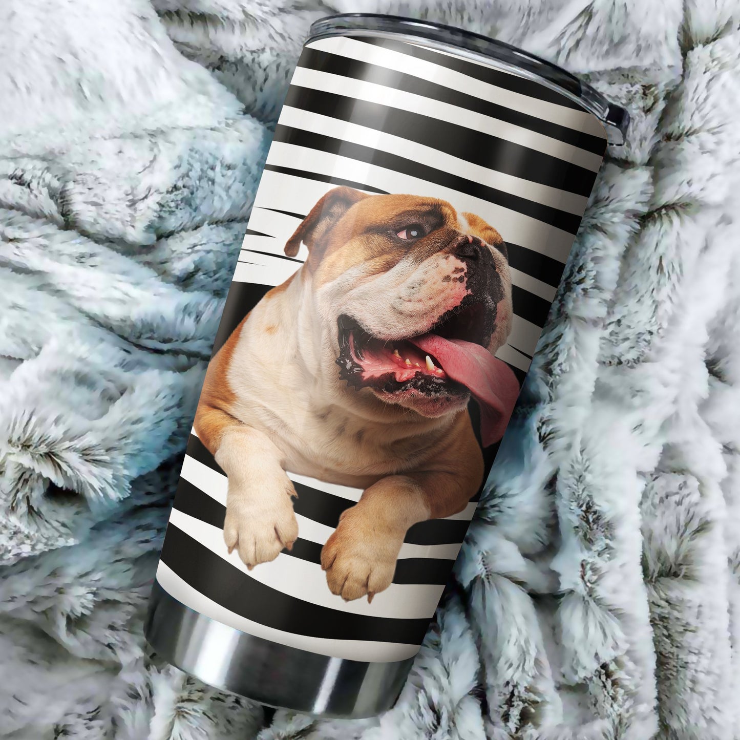 Pitbull tumber DD09232005