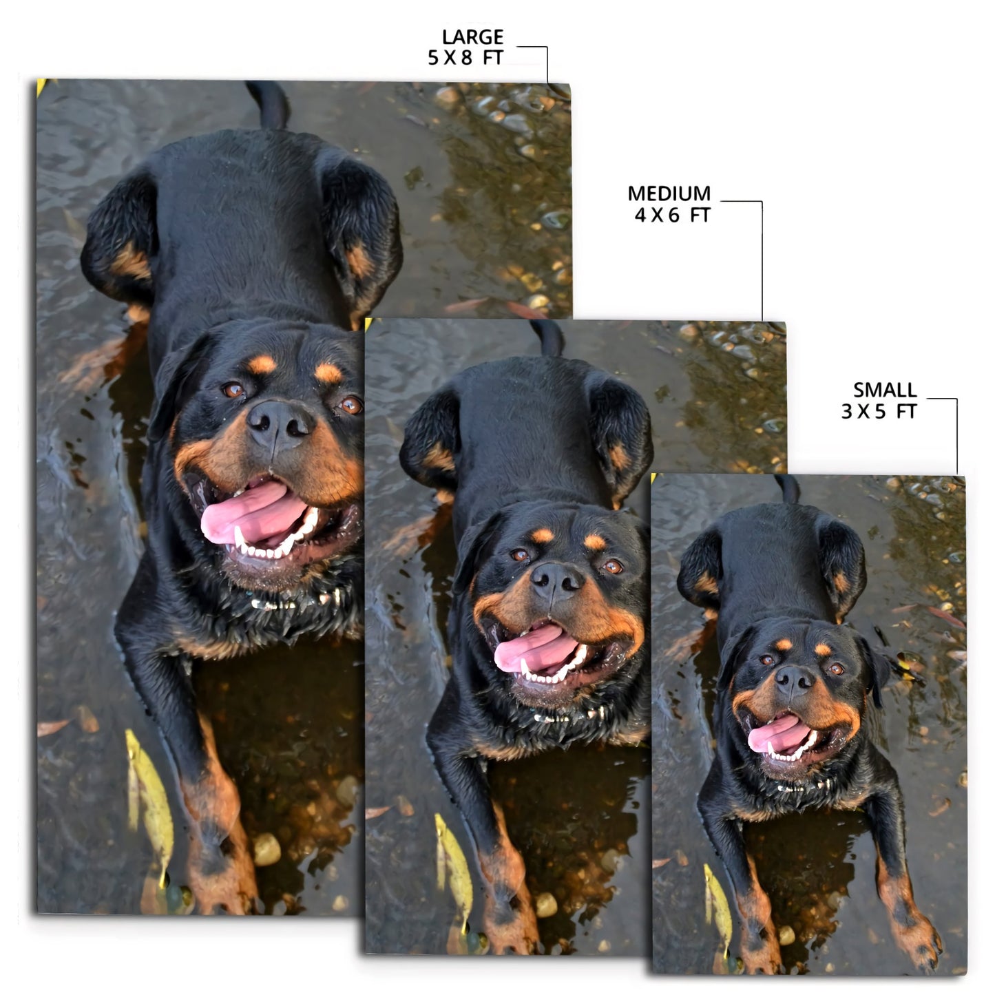 Rottweiler rectangle rug HG91501