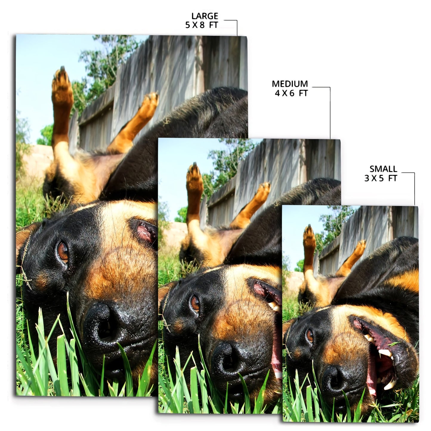 Rottweiler rectangular rug HG91500