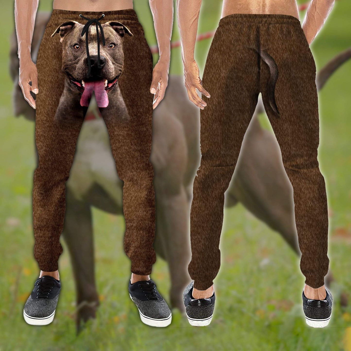 Pitbull sweatpant + hoodie combo AM082064