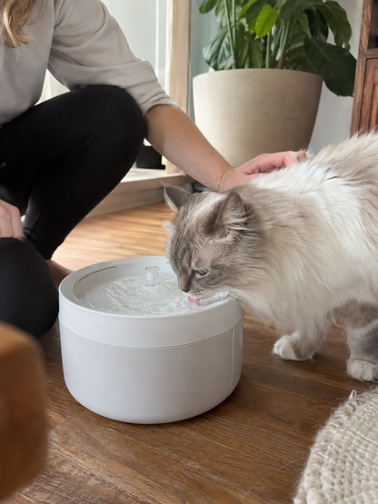 Always-Fresh Dishwasher-Safe Cat Water Fountain