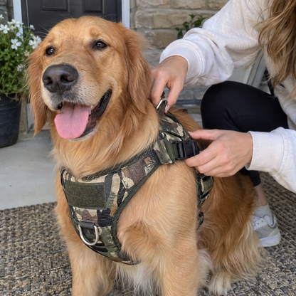 Easy-Walk Personalized Quick-Fit Dog Harness