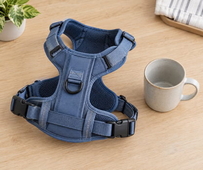 Gentle Control Padded No-Pull Dog Harness