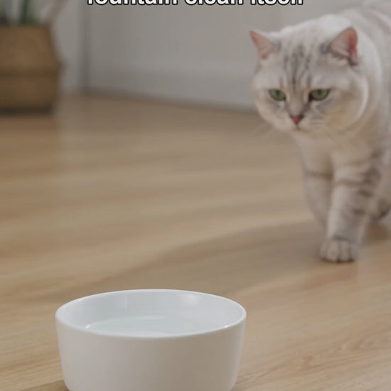 Faunexce cat water fountain in action