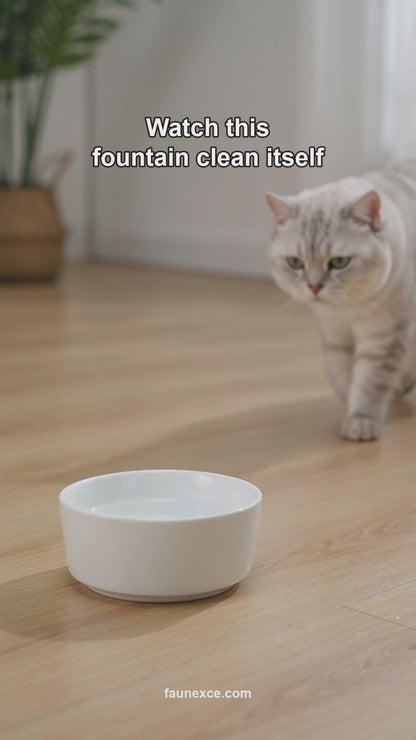 Faunexce cat water fountain in action