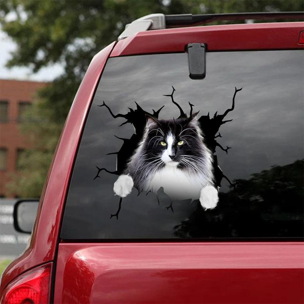 Cat Car Sticker For The Lover