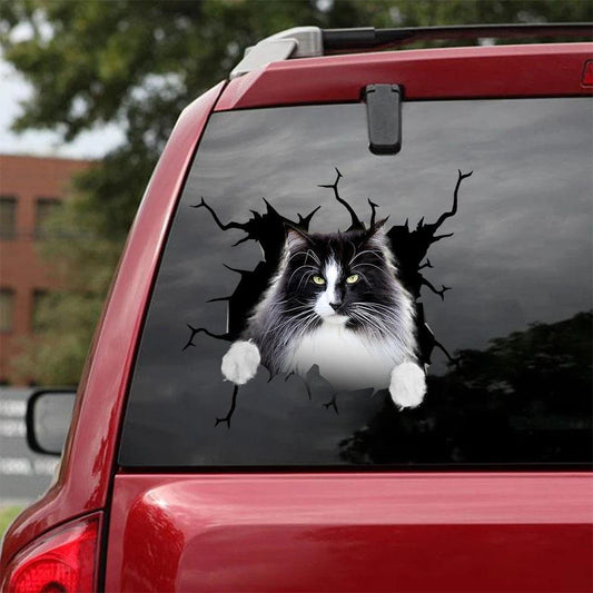 Cat Car Sticker For The Lover