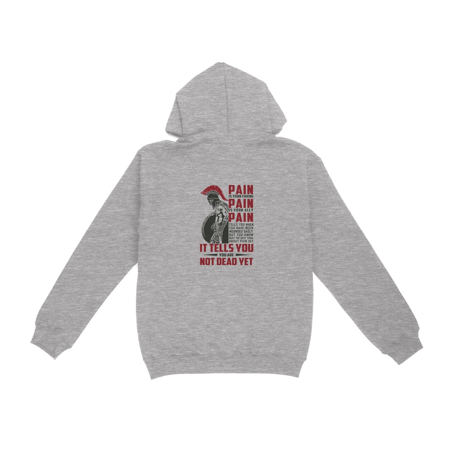 Vibecosy American Patriot Veteran Hoodie