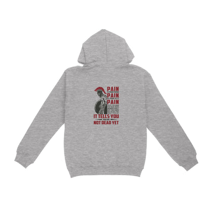 Vibecosy American Patriot Veteran Hoodie
