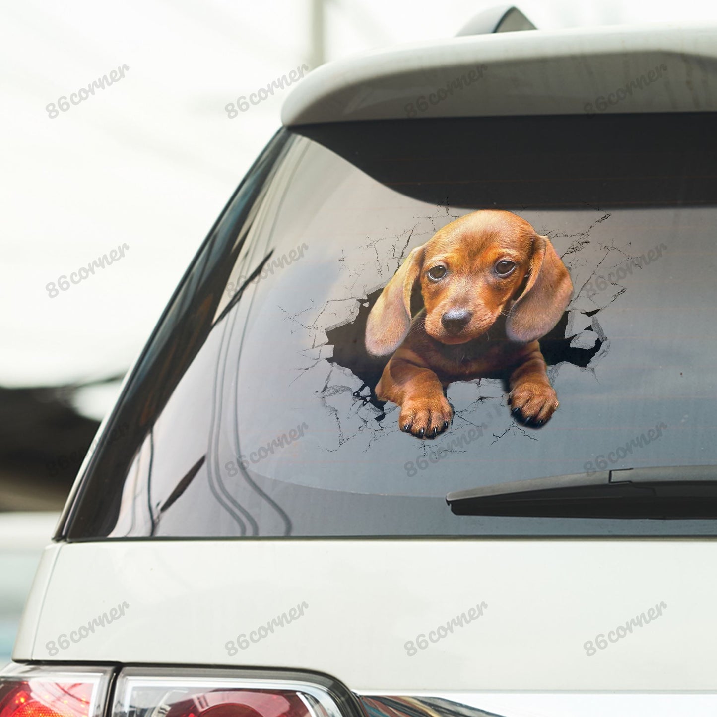 Dachshund Puppy Crack Car Decal Sticker
