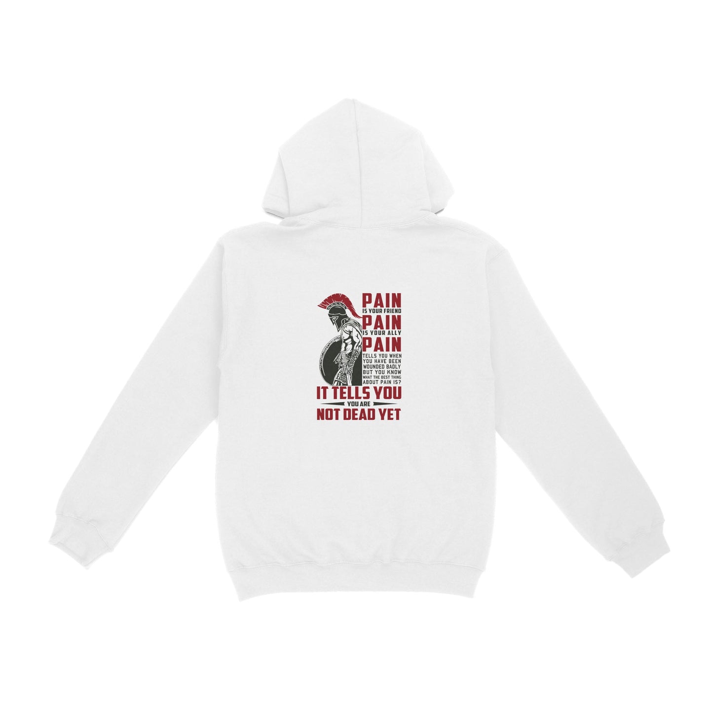 Vibecosy American Patriot Veteran Hoodie