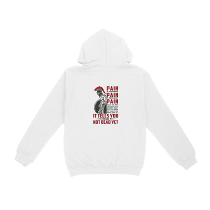 Vibecosy American Patriot Veteran Hoodie