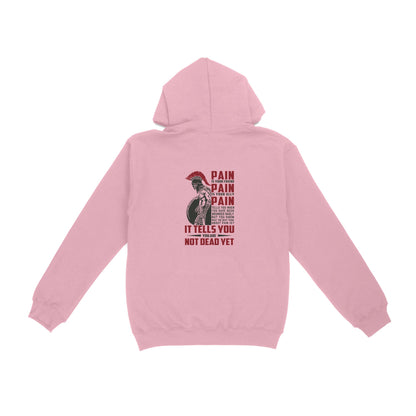 Vibecosy American Patriot Veteran Hoodie