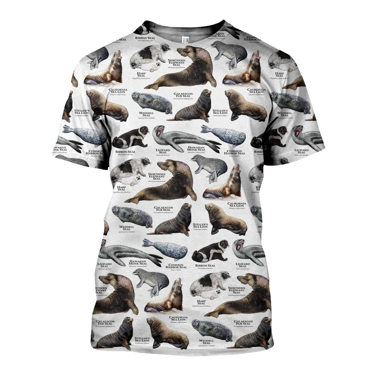 3D All Over Printed Seals and Sea Lions Of The World Shirts and Shorts-Apparel-6teenth World-T-Shirt-S-Vibe Cosy™