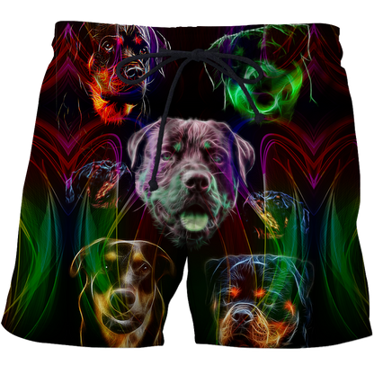 Rottweiler colorful 3D hoodie shirt for men and women JJW18092002S