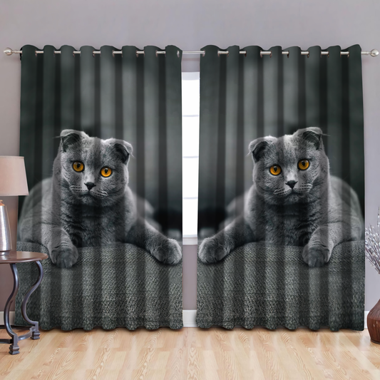 Cute Short Hair Scottish Cat Curtains MH12012105
