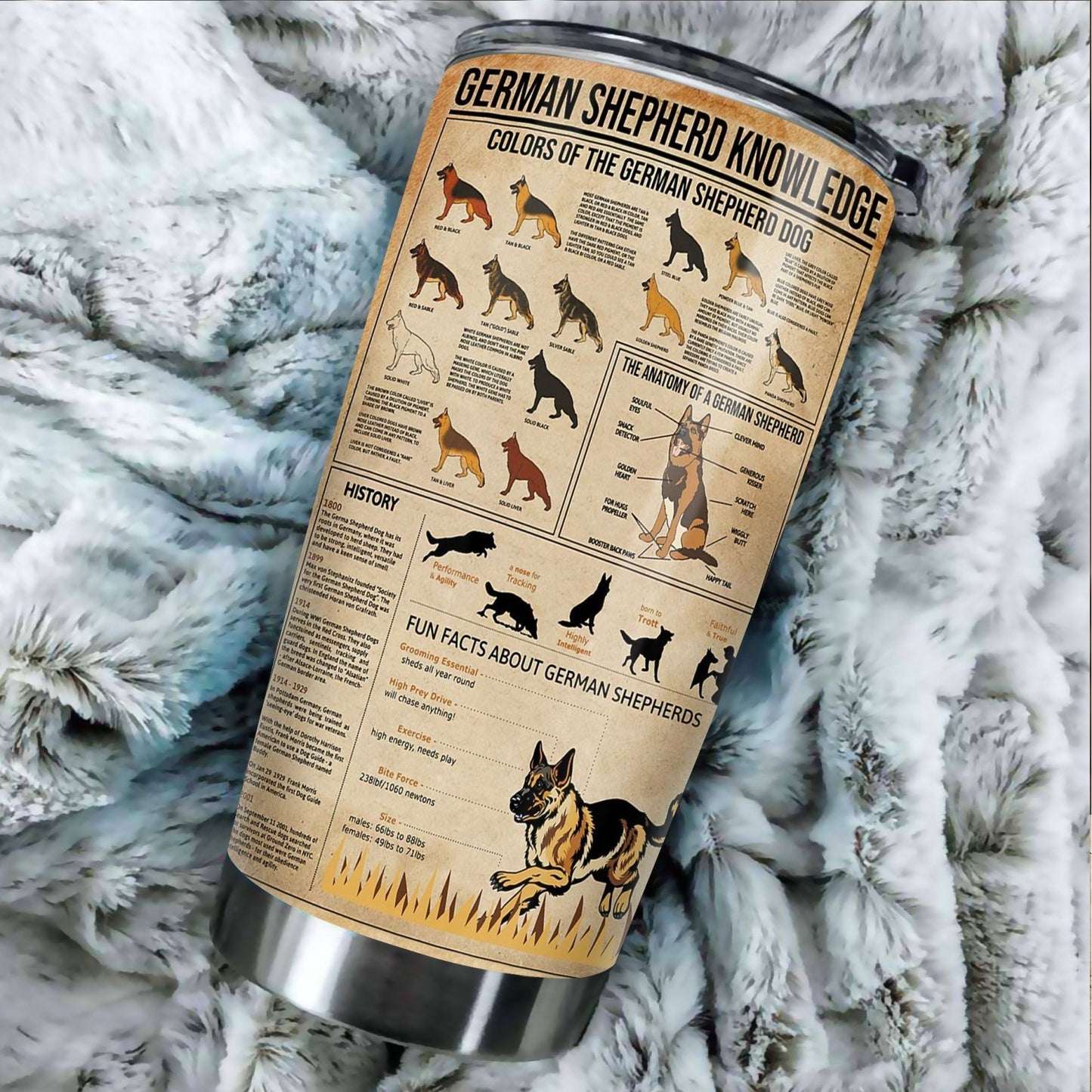 GERMAN SHEPHERD KNOWLEDGE STAINLESS STEEL TUMBLER TT190302-TT-Vibe Cosy™