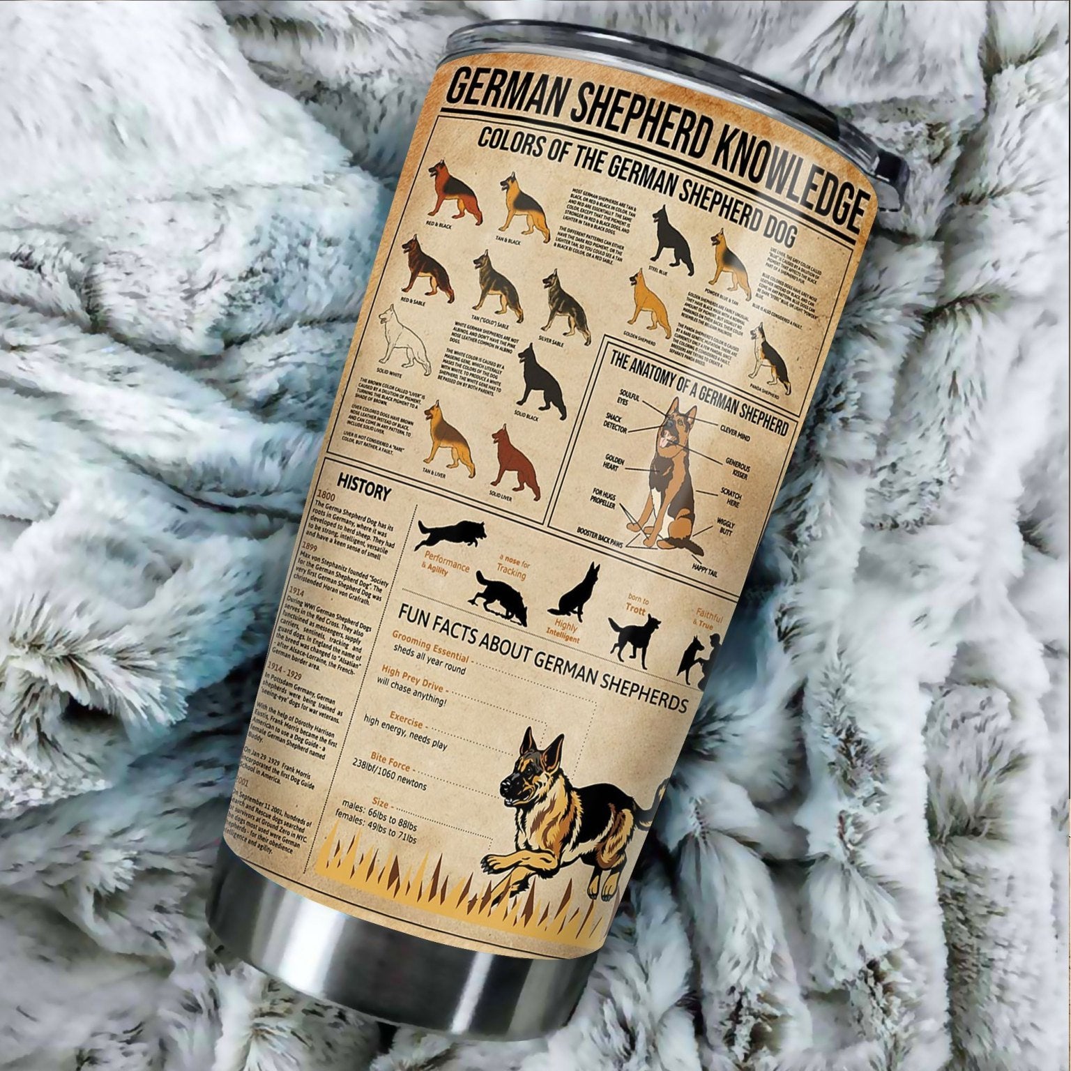 GERMAN SHEPHERD KNOWLEDGE STAINLESS STEEL TUMBLER TT190302-TT-Vibe Cosy™