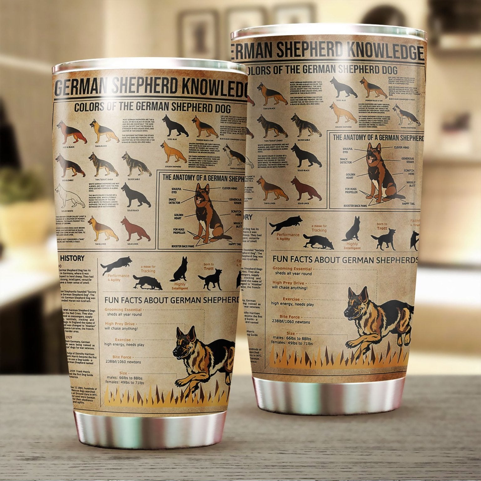 GERMAN SHEPHERD KNOWLEDGE STAINLESS STEEL TUMBLER TT190302-TT-Vibe Cosy™