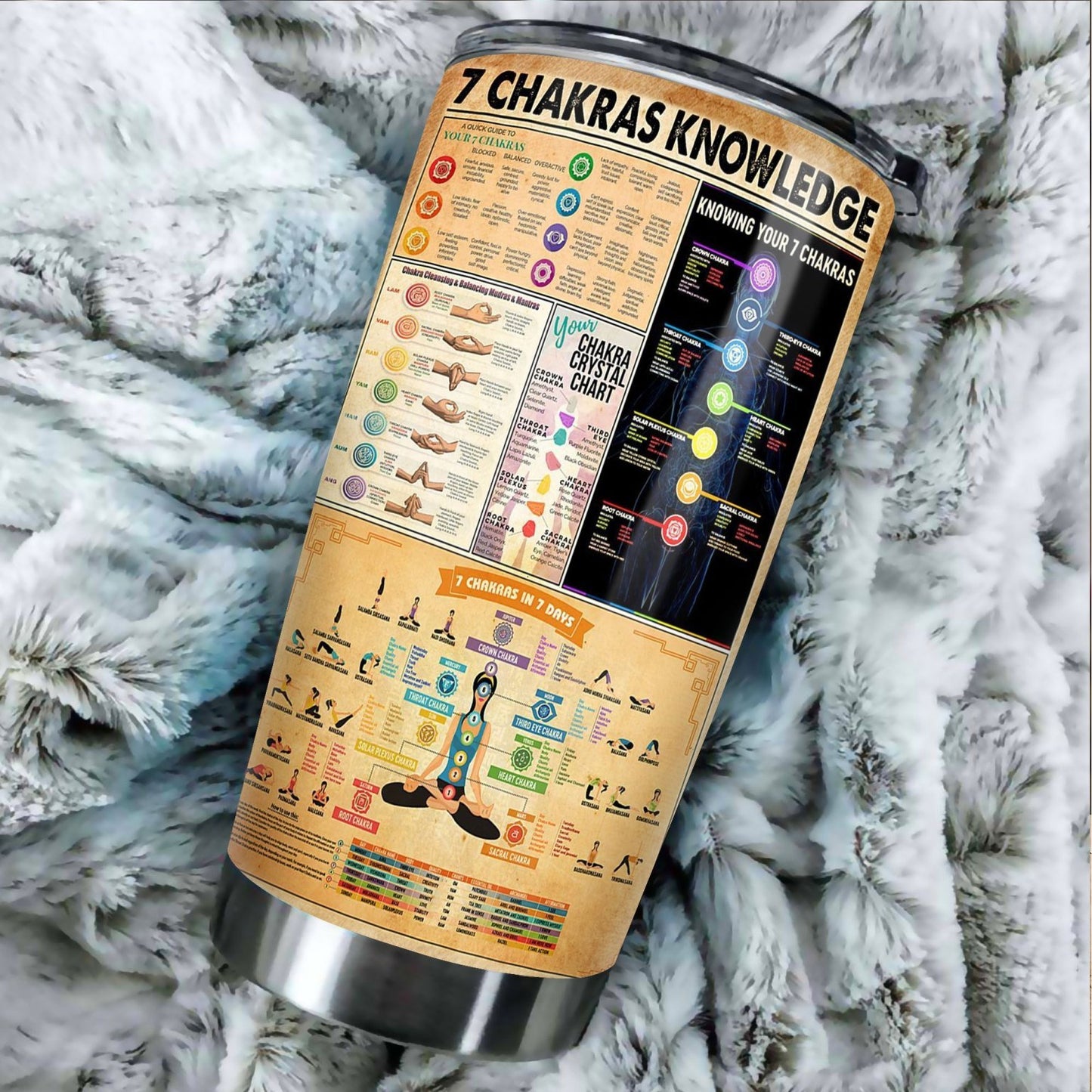 7 CHAKRAS KNOWLEDGE STAINLESS STEEL TUMBLER TT190301-TT-Vibe Cosy™