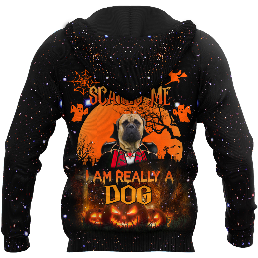 Bullmastiff hoodie shirt for men and women VP25092002