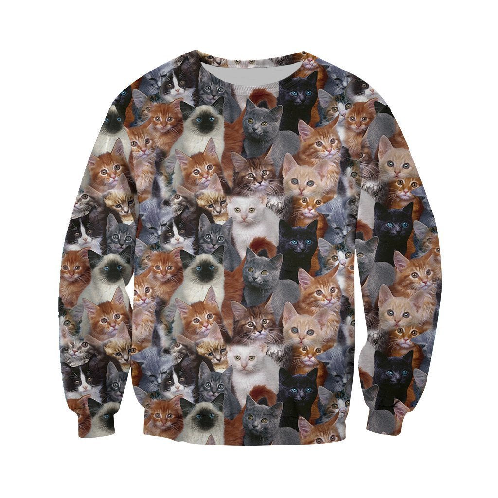 3D All Over Printed Cat Shirts And Shorts-Cat-6teenth World™-Sweatshirt-XS-Vibe Cosy™