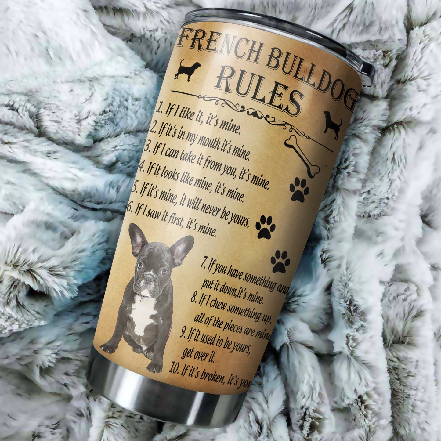French Bulldog Knowledge – Tumbler 20oz TA040215-Tumbler-TA-Vibe Cosy™