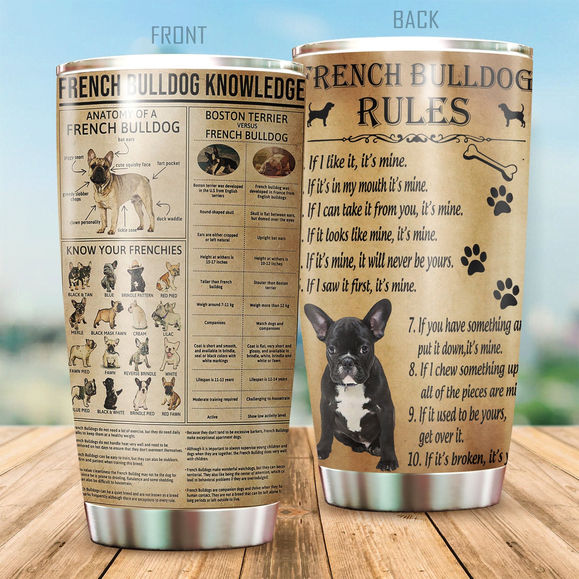 French Bulldog Knowledge – Tumbler 20oz TA040215-Tumbler-TA-Vibe Cosy™