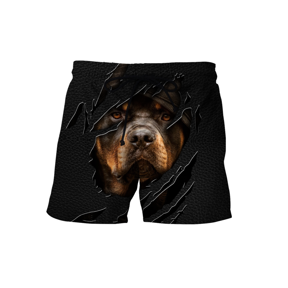 Rottweiler 3D hoodie shirt for men and women custom name ver2