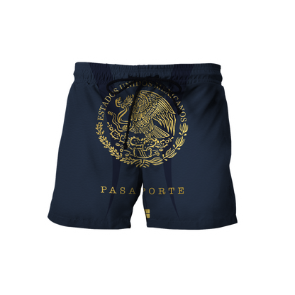 Mexico Pasaporte 3D All Over Printed Unisex Hoodie