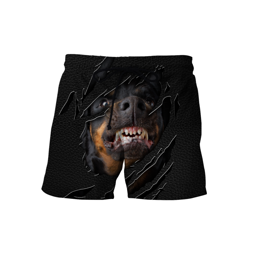 Rottweiler 3D hoodie shirt for men and women custom name