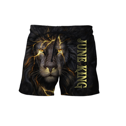 June Lion 3D All Over Printed Unisex Hoodie