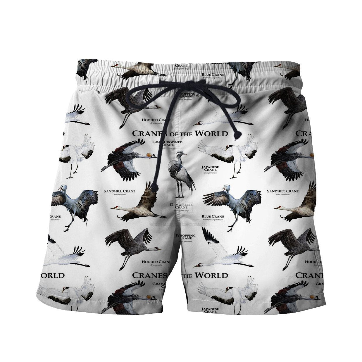 3D All Over Printed Cranes Of The World Shirts And Shorts-Apparel-HP Arts-SHORTS-S-Vibe Cosy™