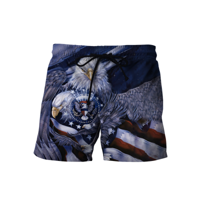 American Spirit Eagle 3D All Over Print  Hoodie DL20219