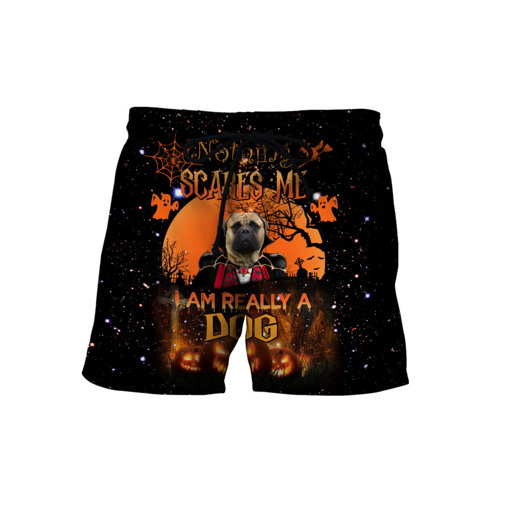 Bullmastiff hoodie shirt for men and women VP25092002