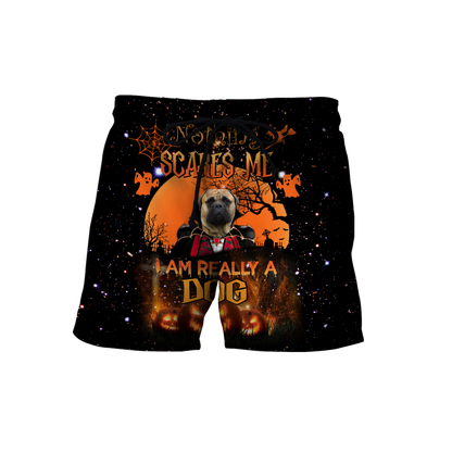 Bullmastiff hoodie shirt for men and women VP25092002