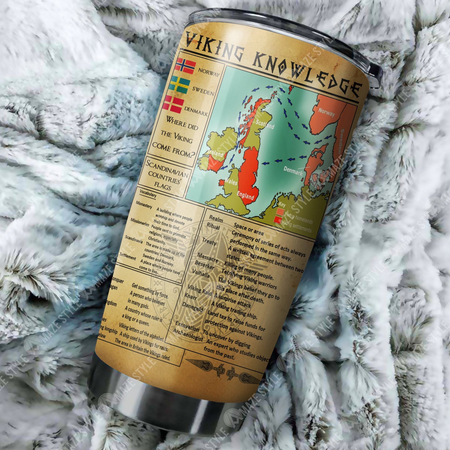 Vikings Knowledge Organiser Tumbler-HP Arts-Vibe Cosy™