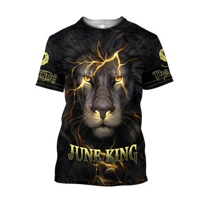 June Lion 3D All Over Printed Unisex Hoodie