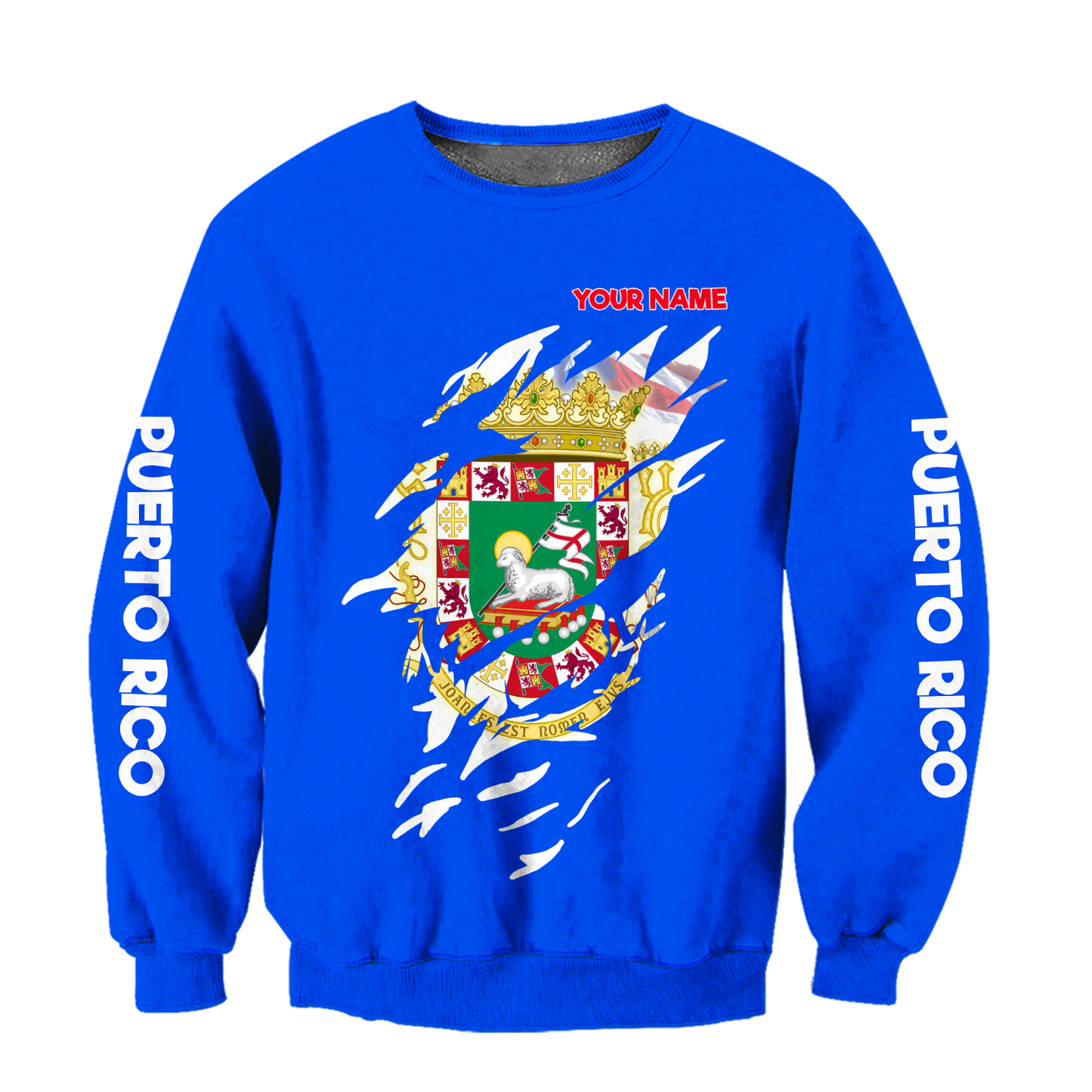 Customize Name Puerto Rico Hoodie For Men And Women MH19032102
