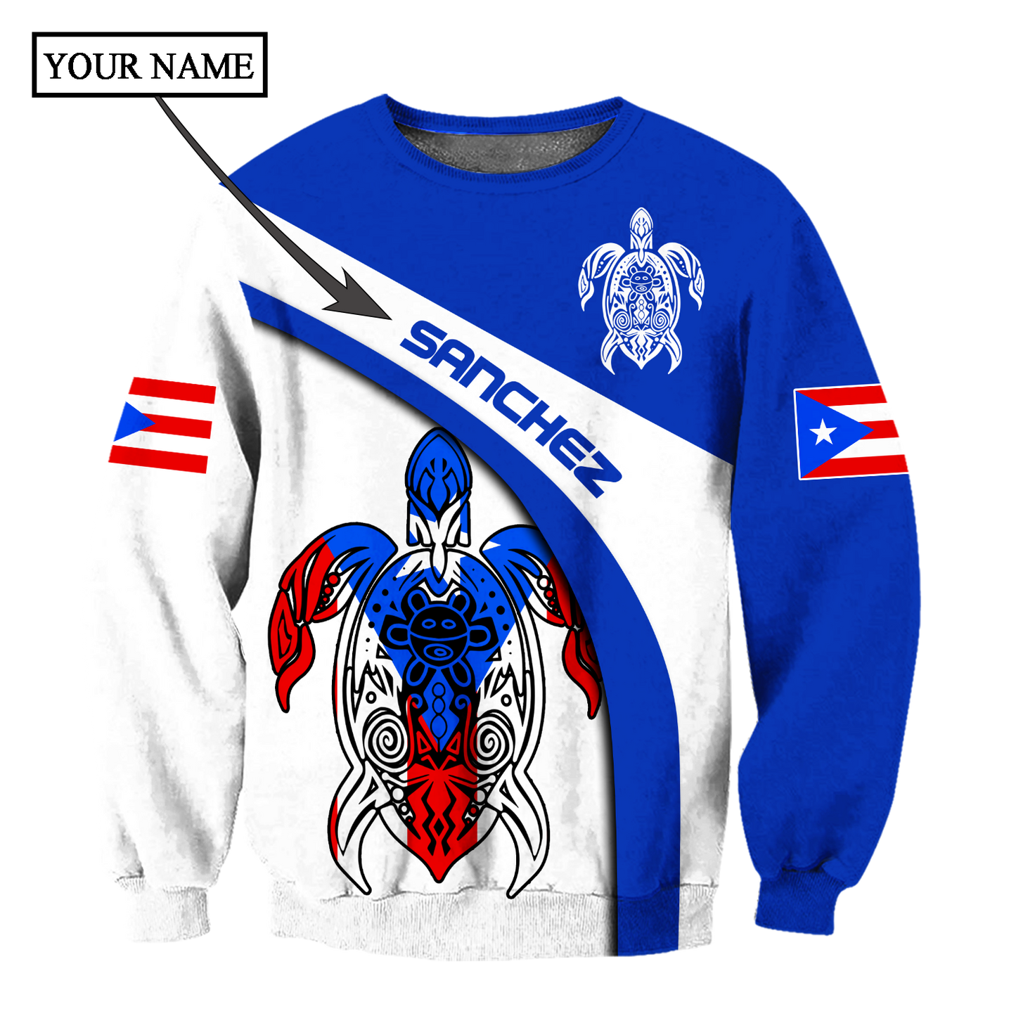 Customize Name Puerto Rico Shirts For Men And Women DD23012106
