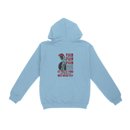 Vibecosy American Patriot Veteran Hoodie