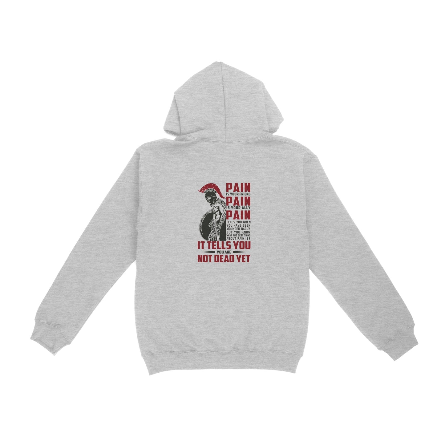 Vibecosy American Patriot Veteran Hoodie