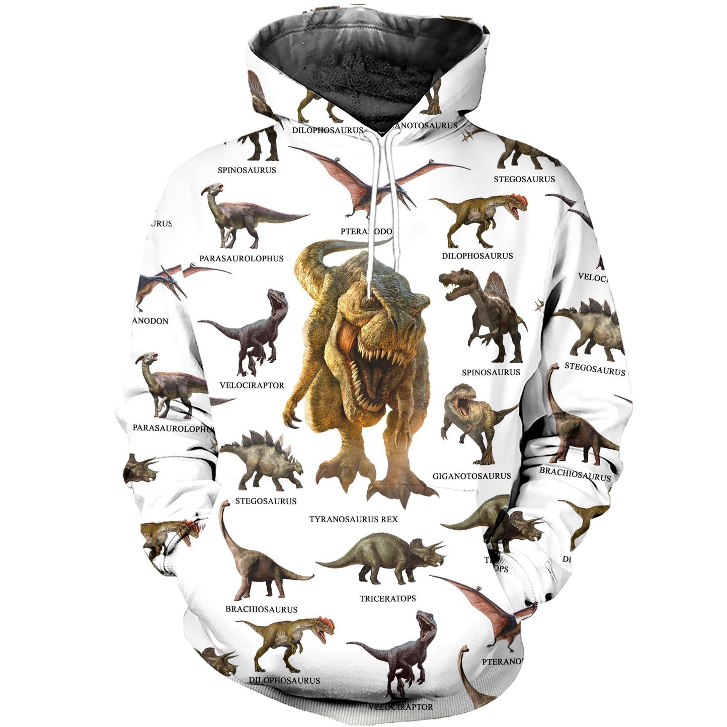 3D All Over Printed Dinosaurs Collection Shirts-Apparel-HP Arts-Hoodie-S-Vibe Cosy™