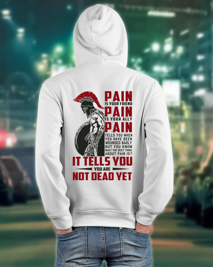 Vibecosy American Patriot Veteran Hoodie