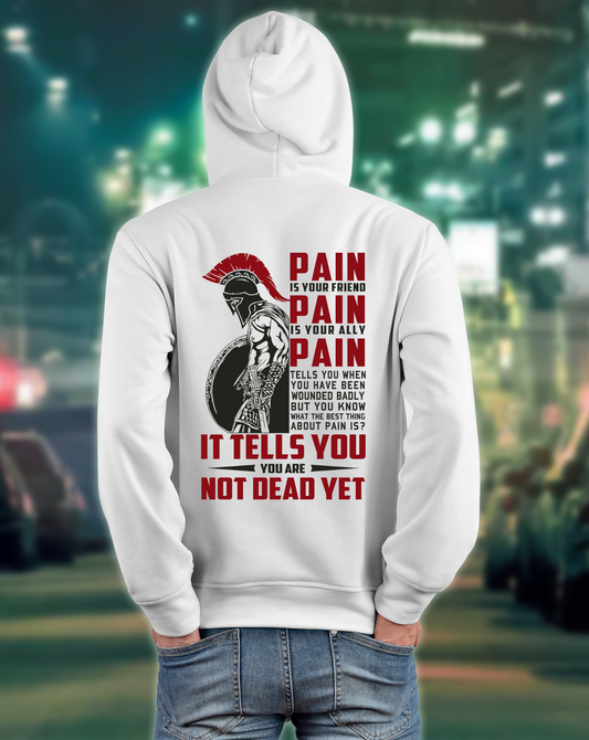 Vibecosy American Patriot Veteran Hoodie