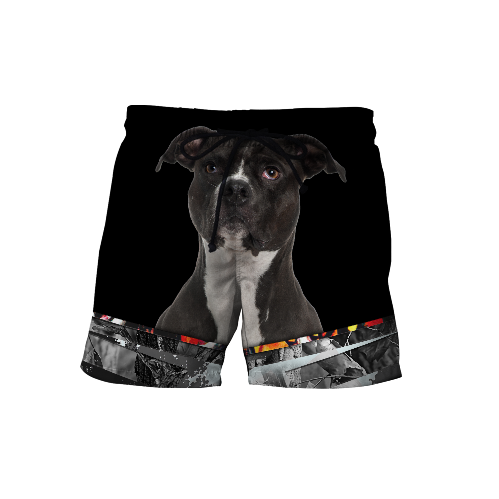 Pitbull 3d hoodie shirt for men and women DD10152001