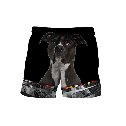 Pitbull 3d hoodie shirt for men and women DD10152001