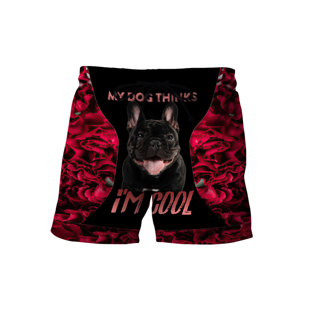 Pitbull 3d hoodie shirt for men and women DD10232002PT